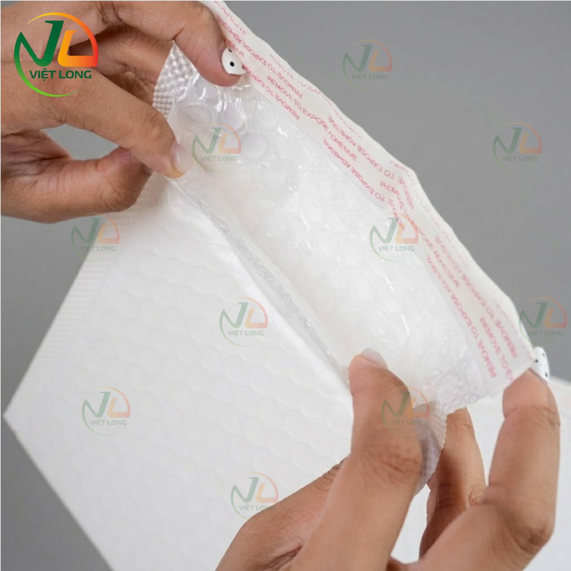 Sản phẩm Túi vận chuyển có lớp đệm của Việt Long